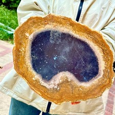 3.26LB  Beautiful and stunning wooden fossil specimens picture