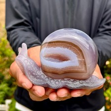 374G Natural Ocean Agate Snail Hand Carving Gemstone Ornament Home Decoration picture