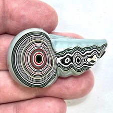 DVH Genuine Michigan Fordite Specimen Polished Face Chv Frd Jp (6333) picture