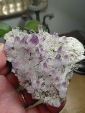 Veracruz Amethyst Crystal Cluster Plate Vera Cruz Crystals #E8292 picture
