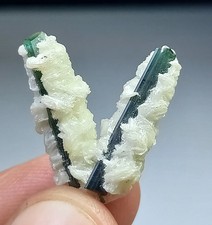 Fresh from Mine Mesmerizing V shape Indicolite Tourmaline Crystals:15CRT picture