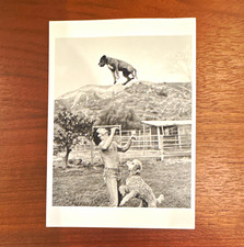 Bruce Weber 1985 Patrick Swayze Postcard picture
