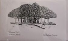 Banyan Tree LAHAINA MAUI Note Cards By John Capone 1997 Purchased From Artist  picture