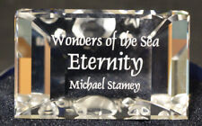 Swarovski Crystal Wonders Of The Sea 2006 SCS Eternity Title Plaque 0855626  picture
