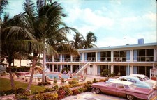 Miami Florida - Biscayne Plaza Motel Pool and Palm Trees - Chrome Postcard 1964 picture