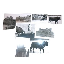 Lot 8 Vintage 1971 Seville Spain Photos Bullfight Matador Castle Las Aguzaderas picture