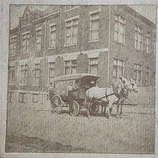 19th Century Cabinet Card Photo Horse Drawn Carriage for Walkemeyer Bros picture