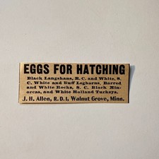 J. H. Allen Walnut Grove MN 1906 Minneapolis Ad 5AL1-S29 picture