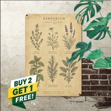 vintage botanical herb chart six hand drawn sprigs picture