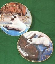 VTG Siamese Cat Collector Plates set of2 by Daphne Baxter Franklin Mint Heirloom picture