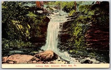 c1912 Caldeno Falls Delaware Water Gap Pennsylvania ANTIQUE Postcard 3295 picture