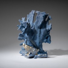 Genuine Blue Ridge Coral (8