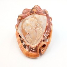 Vintage Italian Conch Shell Hand Carved Cameo Woman picture