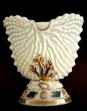 Antique Northwood Argonaut Shell Nautilus Custard Glass Spooner Toothpick Holder picture