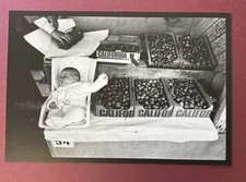 California Baby Strawberry Produce Market  Vintage 1971 Photo Signed Neal White picture