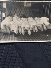 Antique Risque Photo 5 Women Bare Feet on Bed Odd Unusual Vintage Snapshot picture