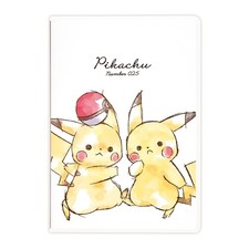 PC451 Pokemon Center B6 monthly Pikachu Two Good Friends Japan picture