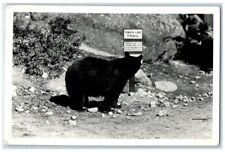 1950 Bear On Tenaya Lake Trail Camp Curry Yosemite CA RPPC Photo Postcard picture