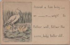 Postcard Baby Announcement Stork Arrived Fine Baby c. 1900s picture