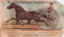Trotting Queen Maud S. Horse Race Weller Brothers Advertising Trade Card I54 picture