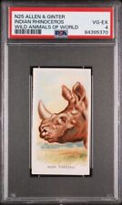 1888 N25 Allen & Ginter Indian Rhinoceros PSA 4 VG/EX Wild Animals of the World picture