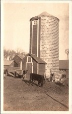 RPPC Farm Cattle Barn and Silo Vintage Postcard 4P24-23 picture