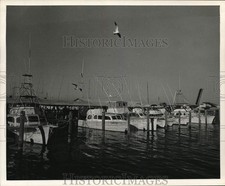 1968 Press Photo Charter Fishing Boats Docked at Fishing Pier 5 - lrx49813 picture