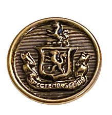 VTG U.S. Military Brass Spectemur Agendo Lion Crest Button picture