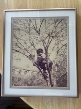 Vintage Young African American Man In a Tree / Artistic Framed Photo, Retro picture