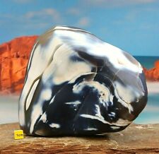 Orca Killer Whale Agate Large Polished Freeform Natural Mineral 1926g picture