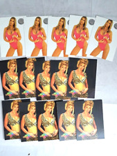 Lot of Benchwarmer Cards Shari Eckert As Pictured 1997 Base 2002 Bonus picture