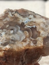 Chalcedony Agate Slab Amazing Fortifications Ready For Display Or Lapidary  picture