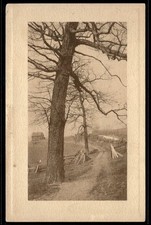 1910 Real Photo Postcard Old Tree & Farm Scene Round Arch Texas Rppc picture