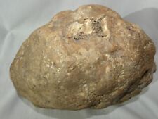 19.4 Pound Very Large Whole Kentucky Geode Rare Crystal Quartz Unique Gift 11in picture
