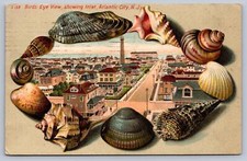 1909 SHELL BORDER Postcard ATLANTIC CITY BIRDS EYE VIEW & INLET picture