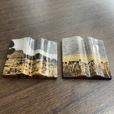 2pcs Natural Picture Jasper Mini Book Carved Crystal Decor Reiki Gift picture