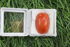 Natural Italian Red coral wt- 19 crt / italy - AAA+ LAB CERTIFIED picture