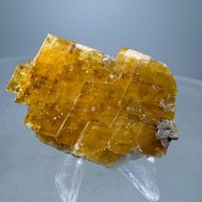 Fine Golden Baryte Crystals: Sherman Tunnel, Leadville, Lake County, Colorado picture