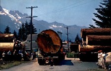 Logging in Oregon Vintage Standard Postcard Unposted picture