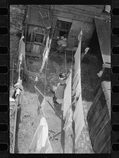 Photo:1930s Slum Housing Alley Laundry Clotheslines FSA Photo picture