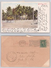 1907 Jacksonville FL A Tropical Home Palm Trees E. C. Kropp Postcard picture