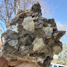 Natural Dogtooth Calcite W/ Cubic Fluorite & Selenite Specimen UV Minerals picture