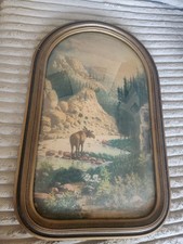 1934 Chicago Portrait Co  Convex Bubble Glass WA Carson Moose Print picture