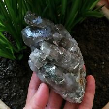 503g Big Amazing Ghost Quartz Natural Mystical Cutted & Marked By Nature Forces picture