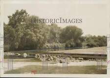1956 Press Photo General view of Cutler Park in Tulare County - lra57084 picture