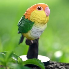 Animal Heavenly Body White-bellied Caique Pionites Parrot Statue picture