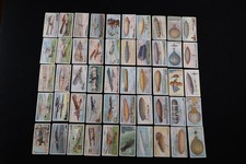 CVR436 Wills Cigarette Cards Aviation 1910 Complete Set 50 picture