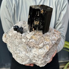 16.64LB Large Natural Black Tourmaline Crystal Gemstone Rough Mineral Specimen picture