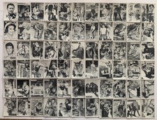 1966 Philadelphia Gum Daktari Complete Card Set 66 Cards #1-66 NM Vintage TV Cla picture