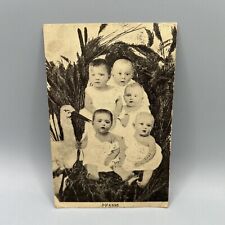 Antique Postcard 5 Of A Kind 5 Babies With Stork 1911 picture